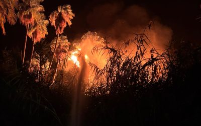 Incendio forestal en SJC activa a Bomberos de Cabo San Lucas